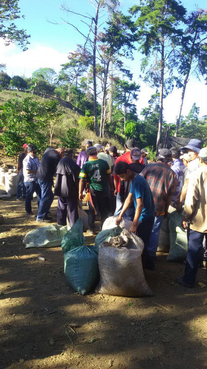 EL SALVADOR EL CIPRÉS